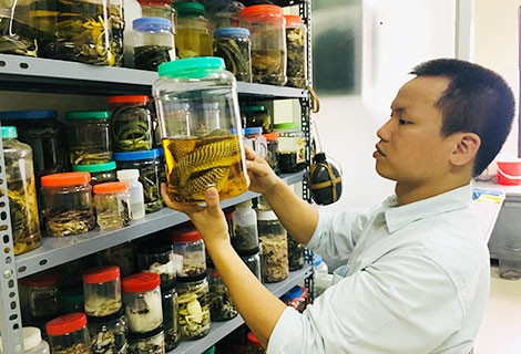"Tiến sĩ rắn" và hành trình khám phá các loài rắn độc