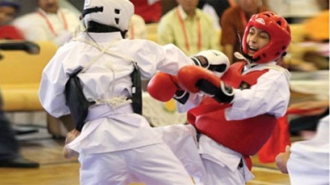 Đồ Hồng Ngọc (giáp đỏ) mang huy chương vàng kempo về cho Việt Nam.