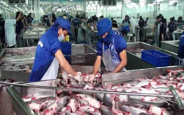 Ngành hàng cá tra có một năm tăng trưởng vượt bậc trong năm qua.