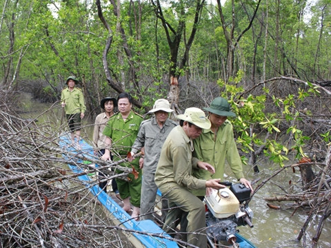 Tuần tra, khắc phục nạn phá rừng Vườn quốc gia Mũi Cà Mau.