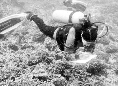 Khảo sát, đánh giá đa dạng sinh học ở rạn san hô thuộc biển Quảng Ninh.   Ảnh: LÊ XUÂN