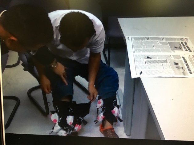  Vận chuyển lô chim sống thuộc danh mục động vật hoang dã nguy cấp