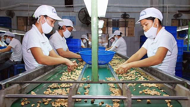 Các doanh nghiệp Việt Nam đóng góp nhiều công sức vào sự phát triển của ASEAN. Ảnh: NGUYỄN NAM