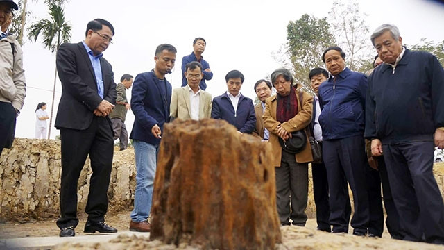 Lãnh đạo TP Hải Phòng cùng các nhà khoa học khảo sát thực địa bãi cọc.