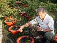 TP Hồ Chí Minh chuyển dịch cơ cấu kinh tế nông nghiệp