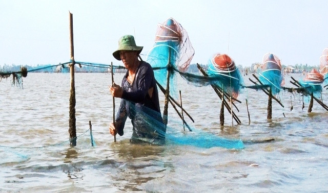 Cư dân đánh bắt thủy sản trong đầm Thị Tường.