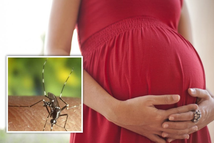 Cả nước có 212 trường hợp nhiễm virus zika