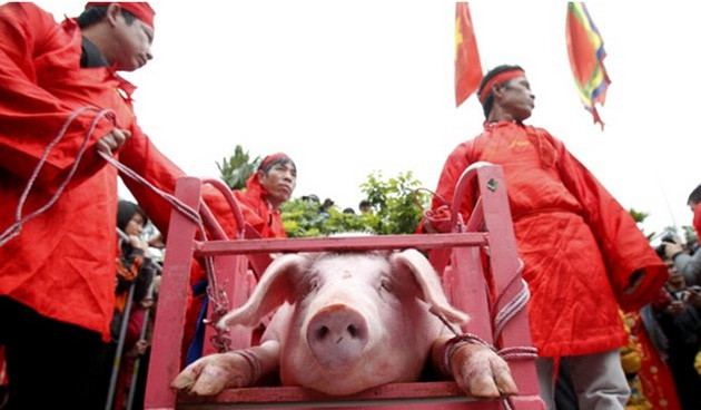 Lễ hội chém lợn ở Bắc Ninh. Ảnh: ST