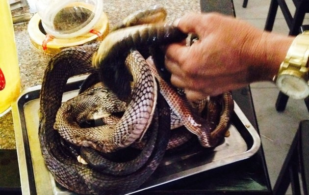 Tang vật thu được tại trạm dừng chân.