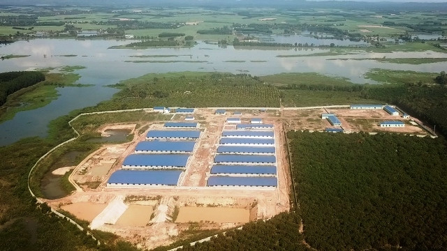 Công trình trang trại lợn quy mô lớn xây dựng không phép sát hồ Trị An.