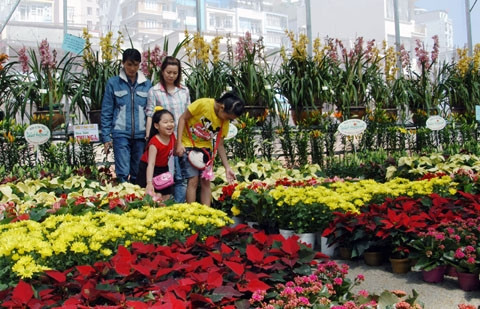 Du khách trải nghiệm với hoa Đà Lạt (Lâm Đồng).