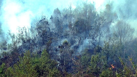 Đám cháy ở Vườn quốc gia Hoàng Liên đã được dập tắt hoàn toàn.