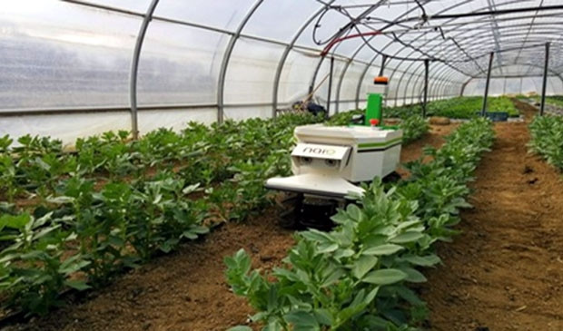 Robot chăm sóc cây trồng.