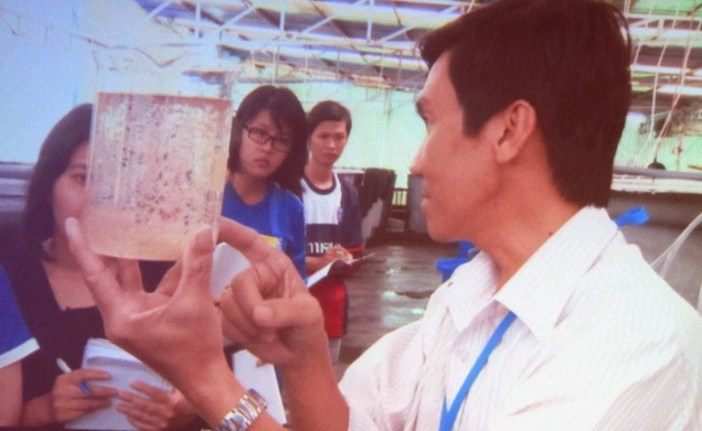 Hướng dẫn sinh viên thực hành