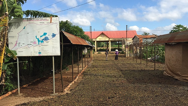 Một số hộ dân tận dụng chợ làm sân phơi cà-phê.