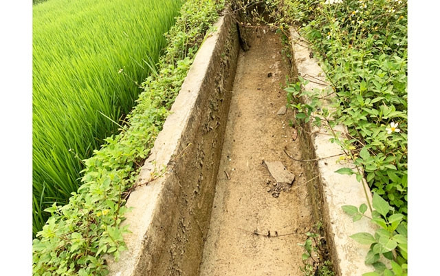 Hầu hết các mương dẫn nước đều khô cạn