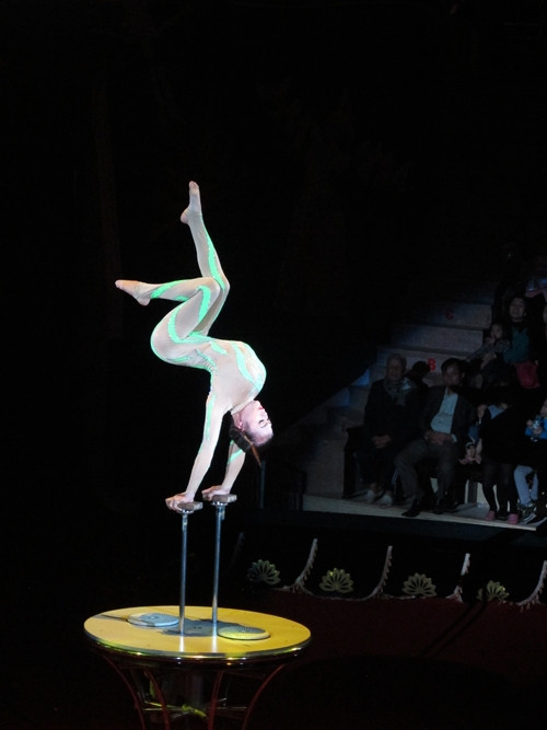 Tiết mục Đứng tay nghệ thuật.