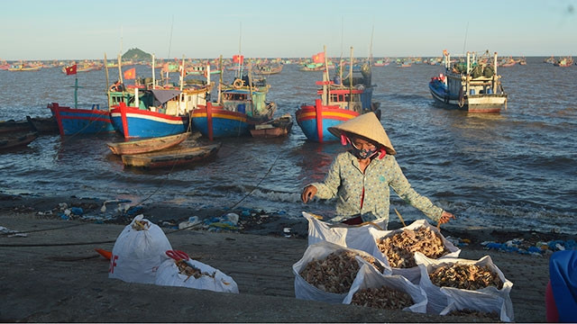 Những chuyến ra khơi được mất thất thường buộc nhiều người dân xã Ngư Lộc phải chọn con đường ly hương để thay đổi cuộc sống.