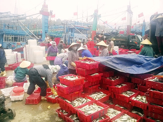 Khu neo đậu Quỳnh Lập.