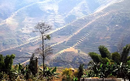 Vẻ đẹp còn sót lại trên cao nguyên Lồ Suối Tủng