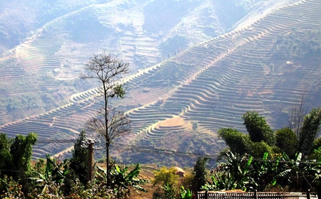 Vẻ đẹp còn sót lại trên cao nguyên Lồ Suối Tủng