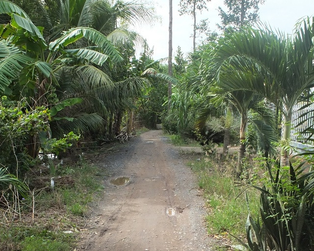 UBND xã Phương Trà làm hồ sơ quyết toán khống công trình rãi đá tuyến đường Lung Mây - Bến đò vườn ông Huề với kinh phí gần 66 triệu đồng.