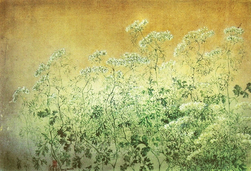 Hoa mùi. Tranh: TRẦN DUY