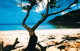 Hòn Khoai, hoang sơ và kỳ thú