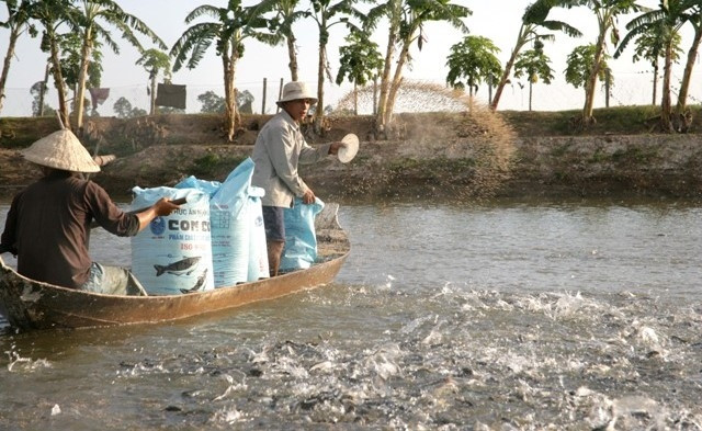 Năng suất lao động bình quân trong khu vực nông, lâm nghiệp và thủy sản đạt thấp nhất với 32,9 triệu đồng/lao động.