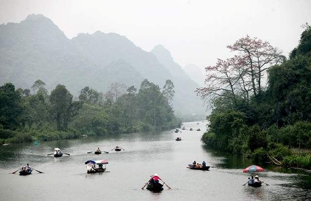 Hằng năm, cứ vào cuối tháng 3 sang đầu tháng 4, hoa gạo lại bừng nở dọc hai bên suối Yến, lối vào chùa Hương, tạo nên khung cảnh mùa xuân rực rỡ.