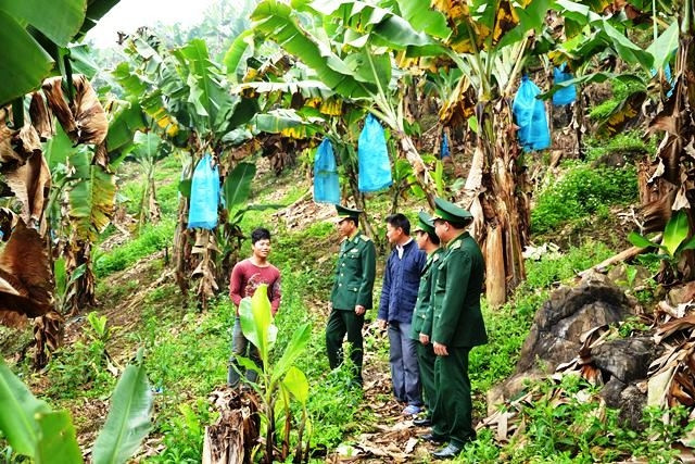 Bộ đội biên phòng Đồn A Mú Sung giúp người dân phát triển sản xuất.
