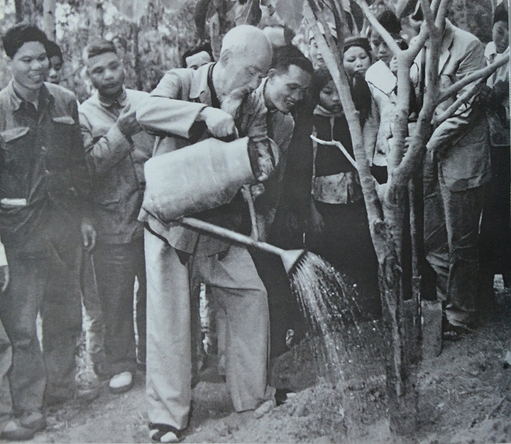 Chủ tịch Hồ Chí Minh trồng cây ở xã Vật Lại, huyện Ba Vì (2-1969). Ảnh tư liệu