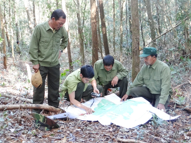 Cán bộ kiểm lâm tỉnh Đác Nông phối hợp các chủ rừng triển khai công tác bảo vệ rừng. Ảnh: XUÂN KỲ
