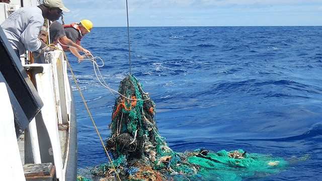 Các nhân viên của TerraCycle thu thập rác trên biển để tái chế. Ảnh: MDIA3