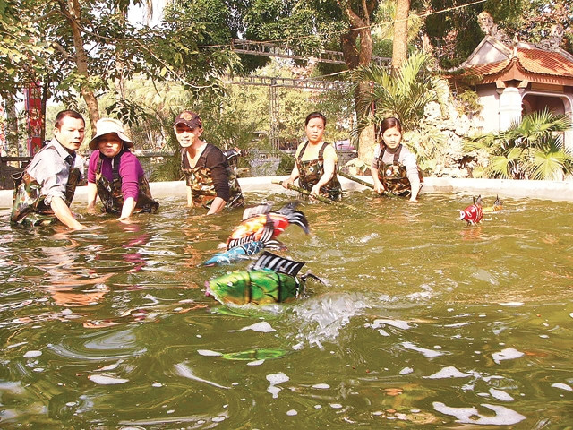 Một buổi tập của phường rối. 