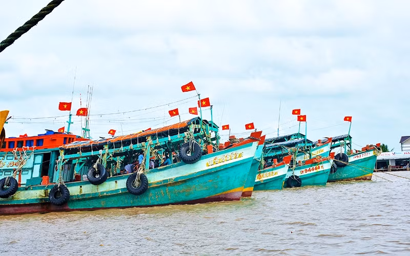 Đội tàu xa bờ của ngư dân Cà Mau vươn khơi bám biển.