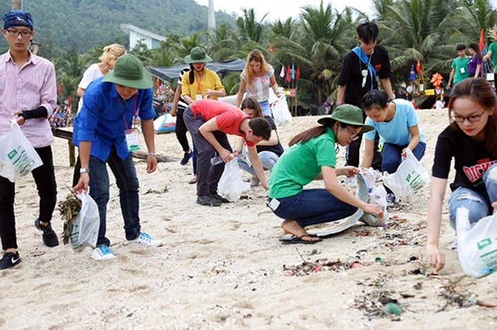 Sinh viên Trường đại học Ðông Á thu gom rác tại khu vực cảng Tiên Sa (TP Ðà Nẵng). Ảnh: HOÀI THU