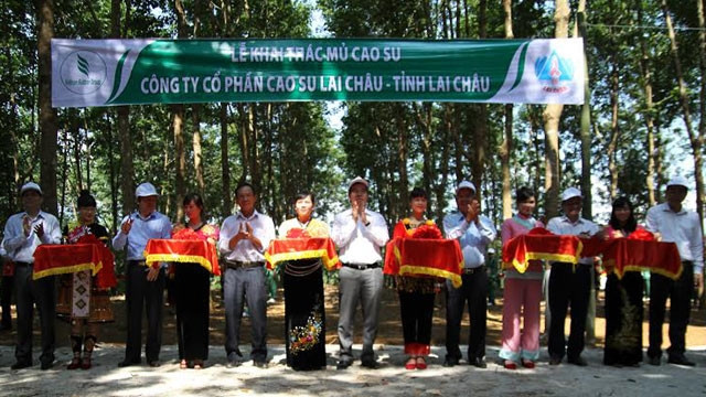 Đồng chí Nguyễn Văn Bình cùng lãnh đạo các bộ, ngành, tỉnh Lai Châu, Tập đoàn Công nghiệp Cao-su Việt Nam cắt băng tại lễ mở miệng khai thác mủ cao-su.