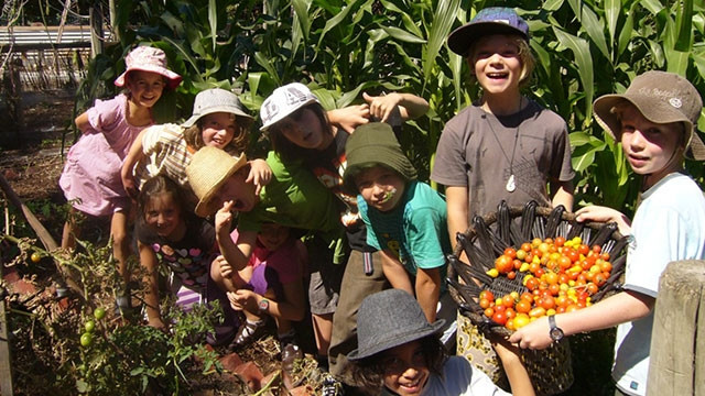 Vườn cộng đồng thu hút thành viên ở mọi lứa tuổi. Ảnh: COLLINGWOOD