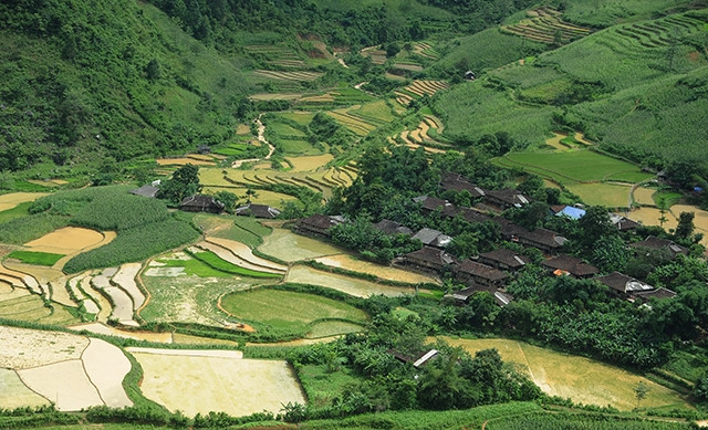 Ruộng bậc thang ở Cao Bằng.