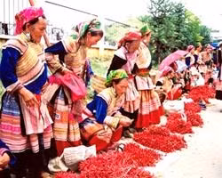 Chợ phiên ở Bắc Hà.