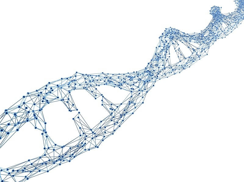 Ảnh: Getty Images.