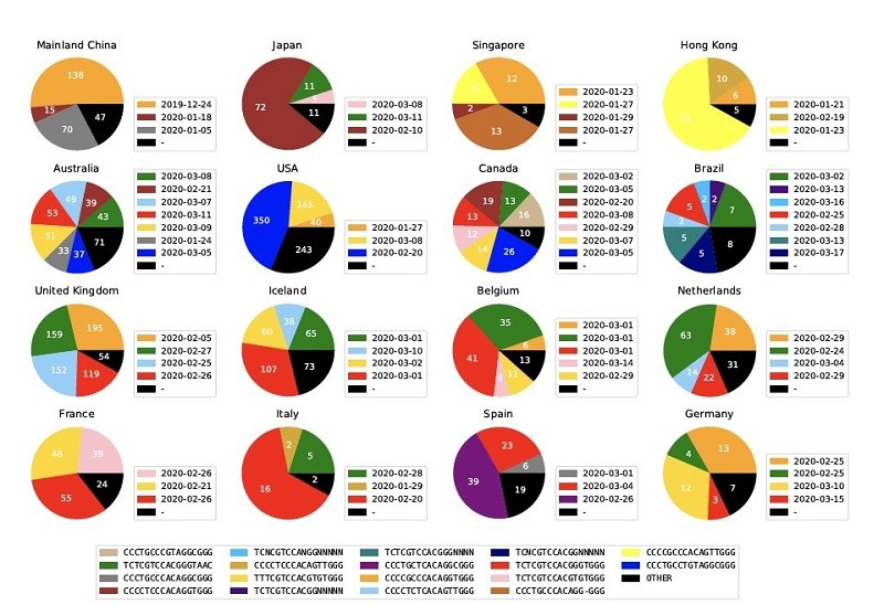 Các phân nhóm di truyền chính của SARS-CoV-2 ở các quốc gia, khu vực có nhiều trình tự nhất. Ảnh: Đại học Drexel.