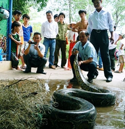Con trăn nặng trên 100kg bắt được
tại Vườn chim Bạc Liêu trưa 16-7.