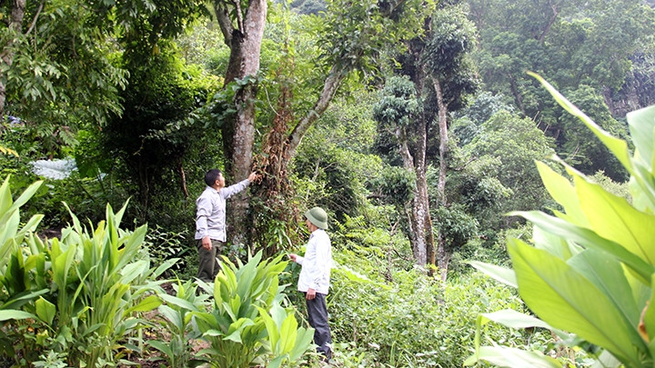 Người dân tổ chức tuần tra bảo vệ rừng tại Vườn quốc gia Ba Bể (tỉnh Bắc Cạn).