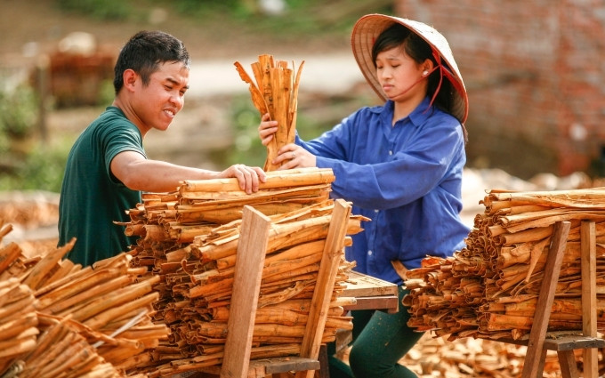 Nhọc nhằn nghề “phơi nắng”