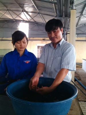 Anh Trương Văn Trị hướng dẫn kỹ thuật nhân giống cá vược nuôi trong môi trường nước ngọt.