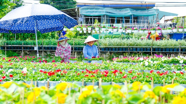  Lạc giữa làng hoa Sa Đéc