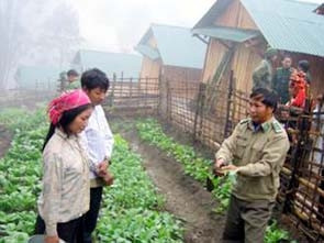 Đôi vợ chồng trẻ người La Hủ ở bản Là Si
học cách trồng rau bên khoảnh đất
gần ngôi nhà mới.