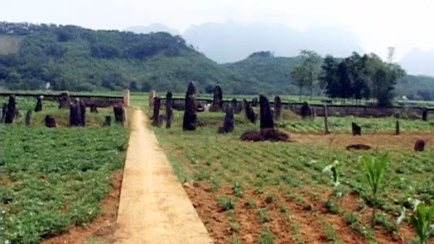 Khu mộ cổ Đống Thếch, xã Vĩnh Đồng, huyện Kim Bôi (Hòa Bình) chỉ còn lác đác hơn chục hòn mồ lớn nhỏ.